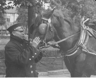 Kliknij, aby powiekszyc