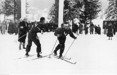 Kliknij, aby powiekszyc