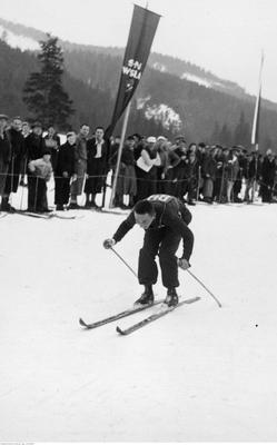 Kliknij, aby powiekszyc