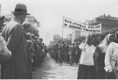 Kliknij, aby powiekszyc