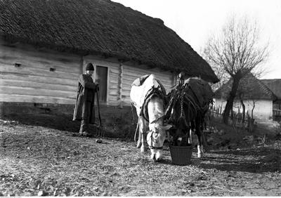 Kliknij, aby powiekszyc