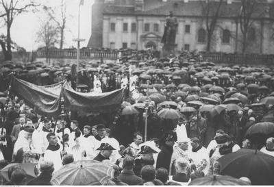 Kliknij, aby powiekszyc