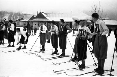 Kliknij, aby powiekszyc