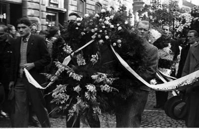 Kliknij, aby powiekszyc