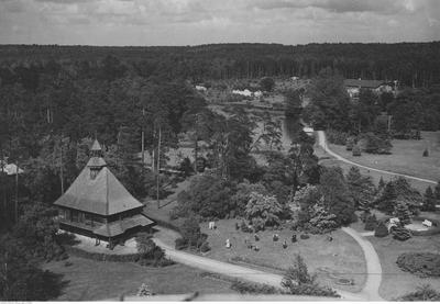 Kliknij, aby powiekszyc