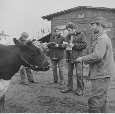 Kliknij, aby powiekszyc