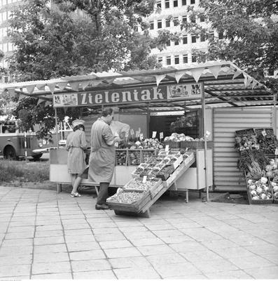 Kliknij, aby powiekszyc