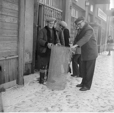 Kliknij, aby powiekszyc