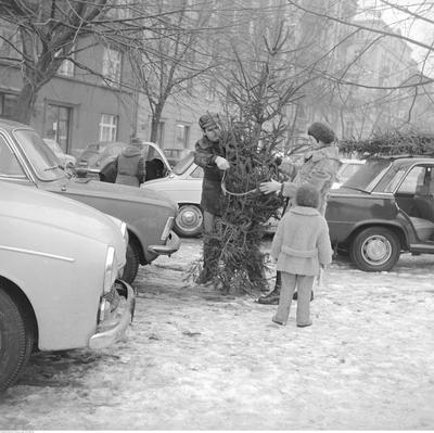 Kliknij, aby powiekszyc