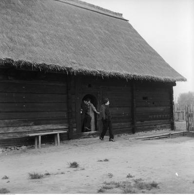 Kliknij, aby powiekszyc