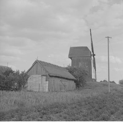 Kliknij, aby powiekszyc