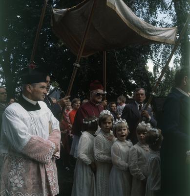 Kliknij, aby powiekszyc