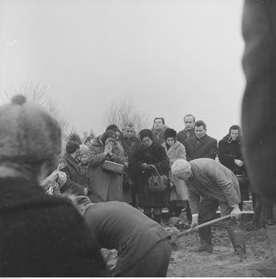 Kliknij, aby powiekszyc