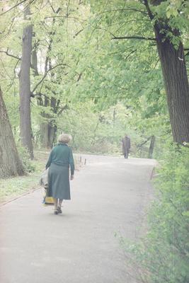 Kliknij, aby powiekszyc