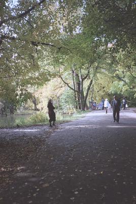 Kliknij, aby powiekszyc