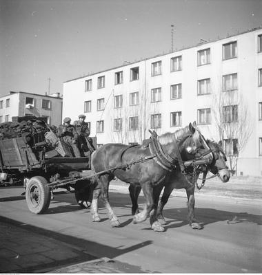 Kliknij, aby powiekszyc